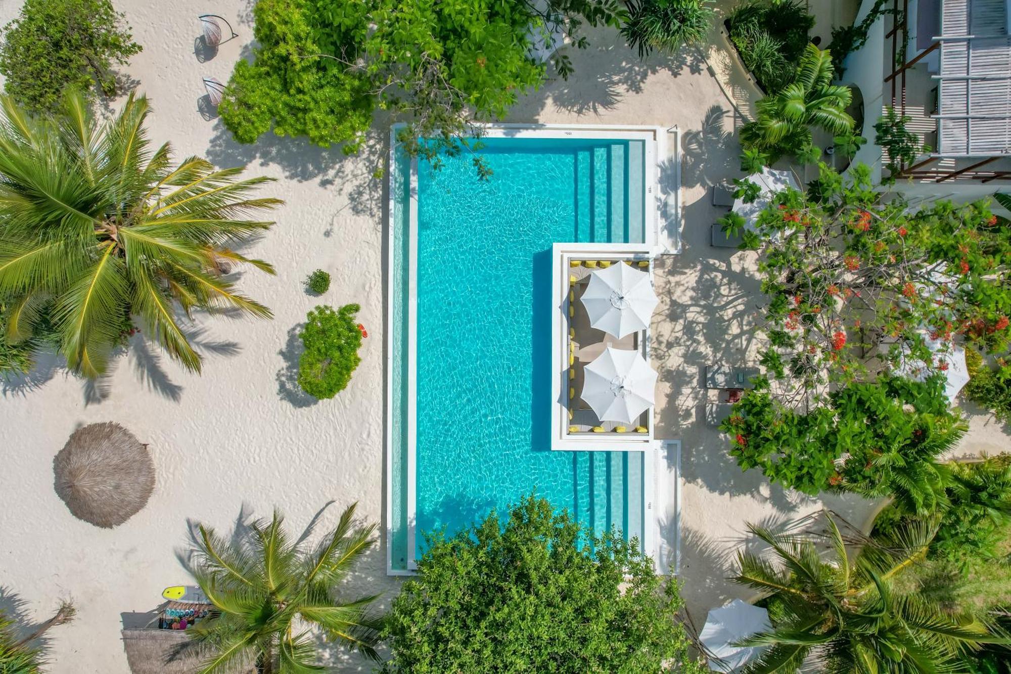 Alma Boutique Hotel Jambiani  Ngoại thất bức ảnh