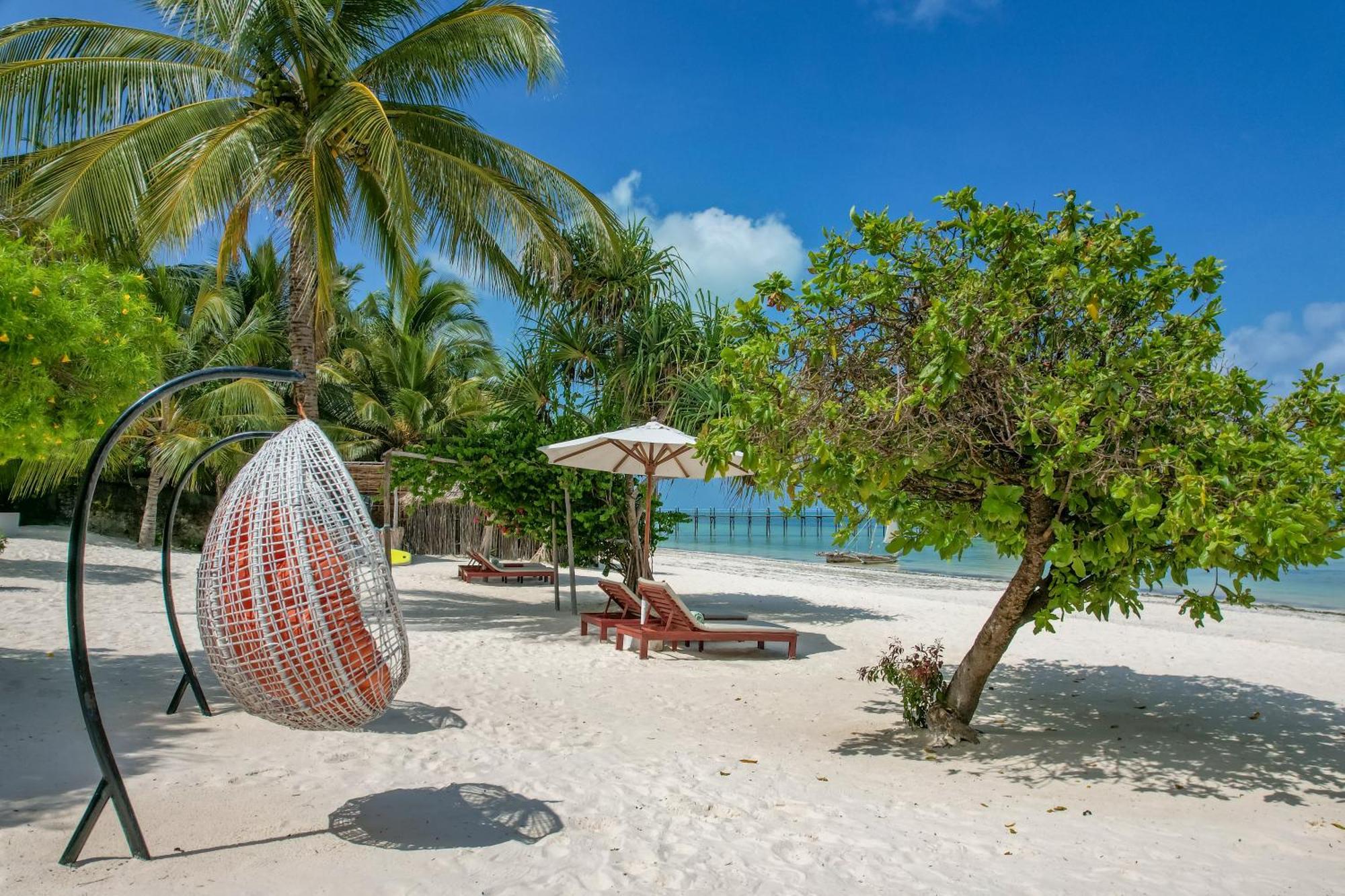 Alma Boutique Hotel Jambiani  Ngoại thất bức ảnh
