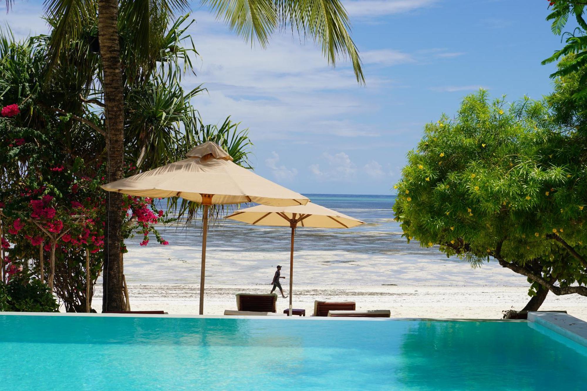 Alma Boutique Hotel Jambiani  Ngoại thất bức ảnh